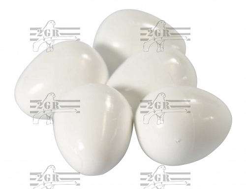 2gr art304 Medium Plastic Fake Eggs for breeding Parakeets, Bird Breeding Supplies, Breeding Accessory