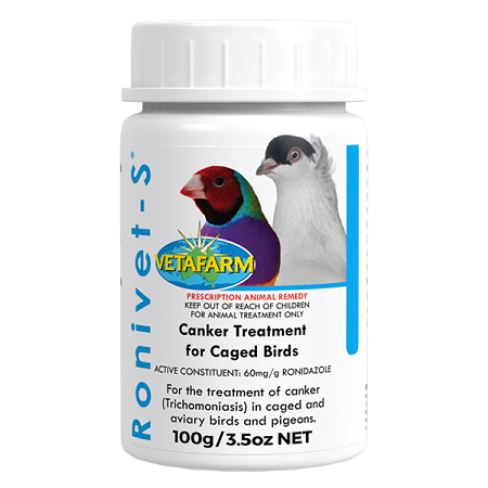 Vetafarm Lady Gouldian Finch Ronivet S 6% - Anti Parasitic Medication - Avian Medication - Glamorous Gouldians